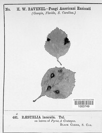 Image Associated With the Occurence